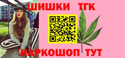 индика Нягань