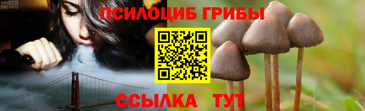Галлюциногенные грибы GOLDEN TEACHER  Вход с VPN  закладка  Нижний Тагил  Псилоцибиновые грибы Psilocybe 